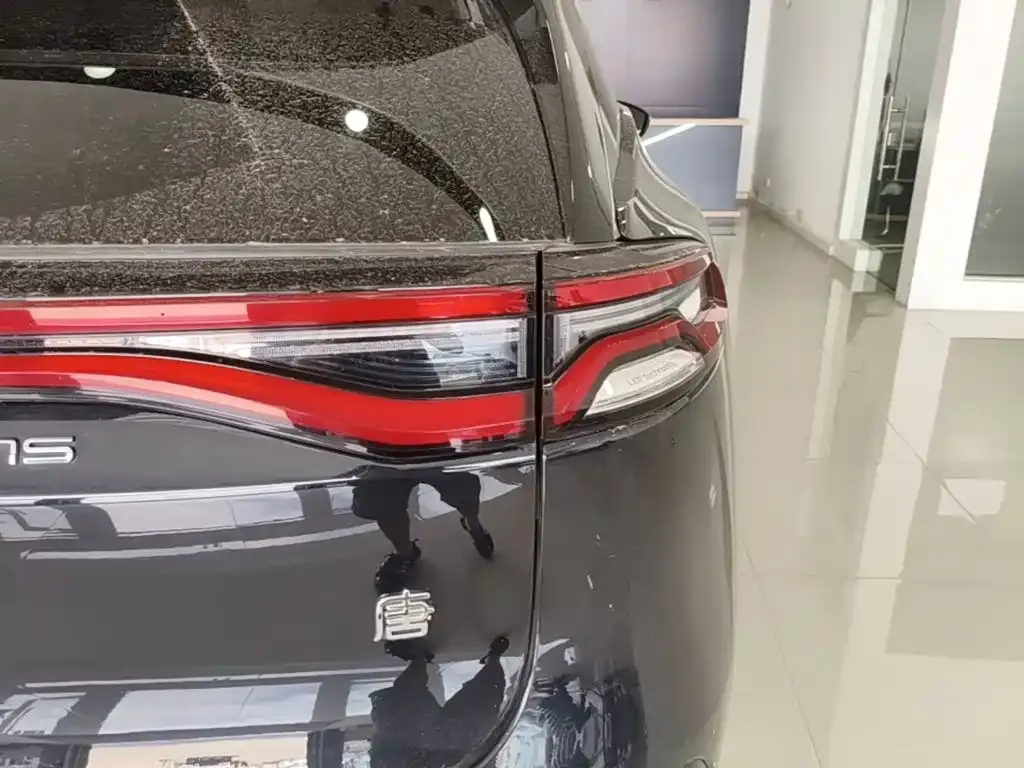 BYD Tang New Energy 2024 из CN, фото 10