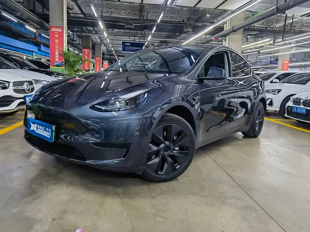 Tesla Model Y — фото 1