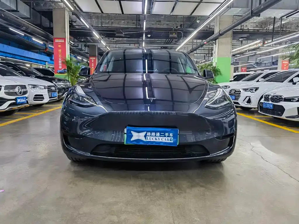 Tesla Model Y — фото 7