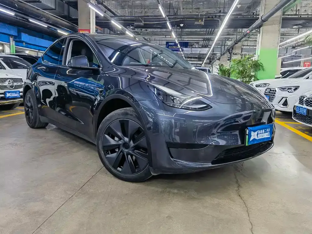 Tesla Model Y — фото 8