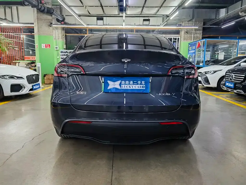 Tesla Model Y — фото 10
