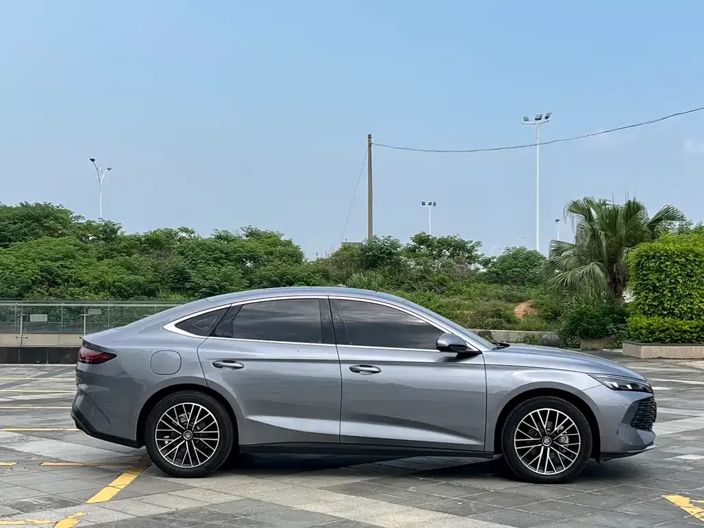 BYD Qin L — фото 6