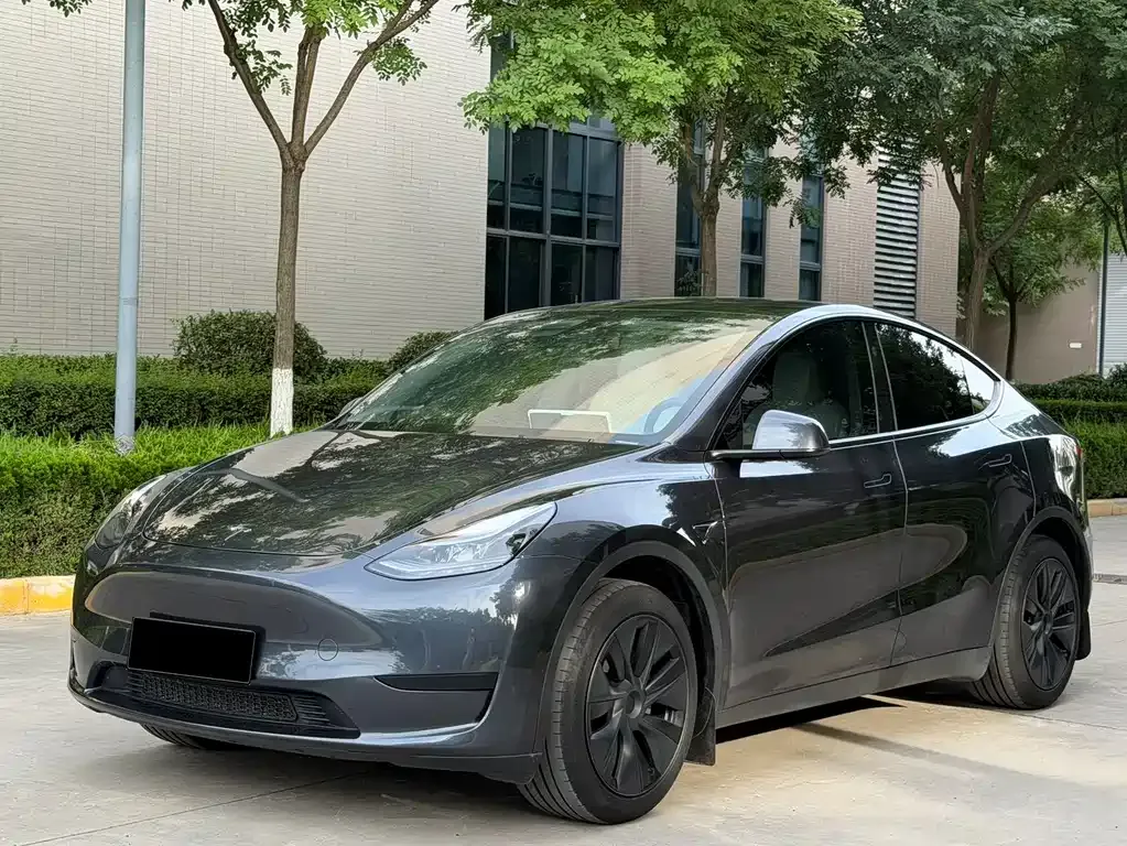 Tesla Model Y — фото 10