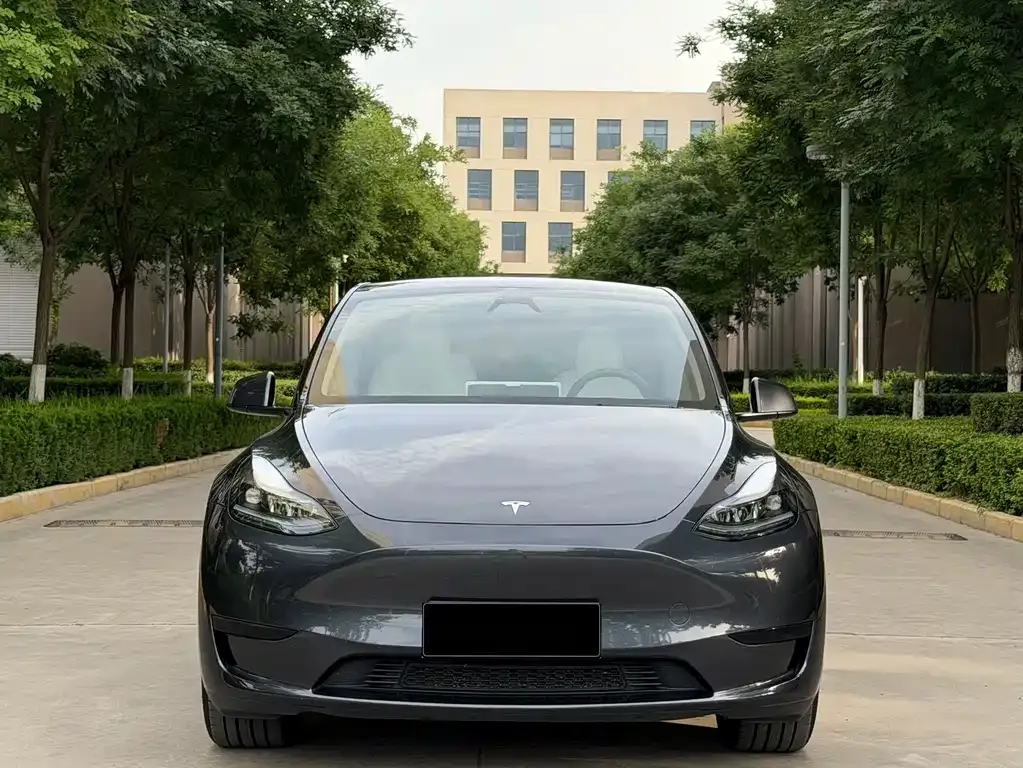 Tesla Model Y — фото 9