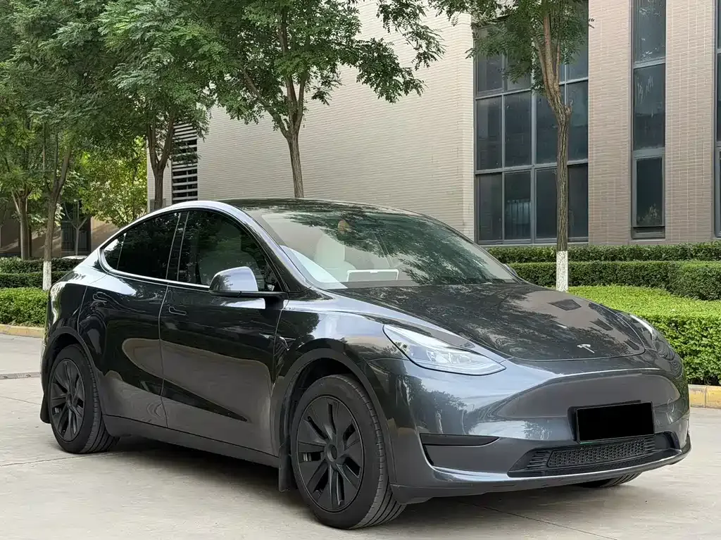 Tesla Model Y — фото 2