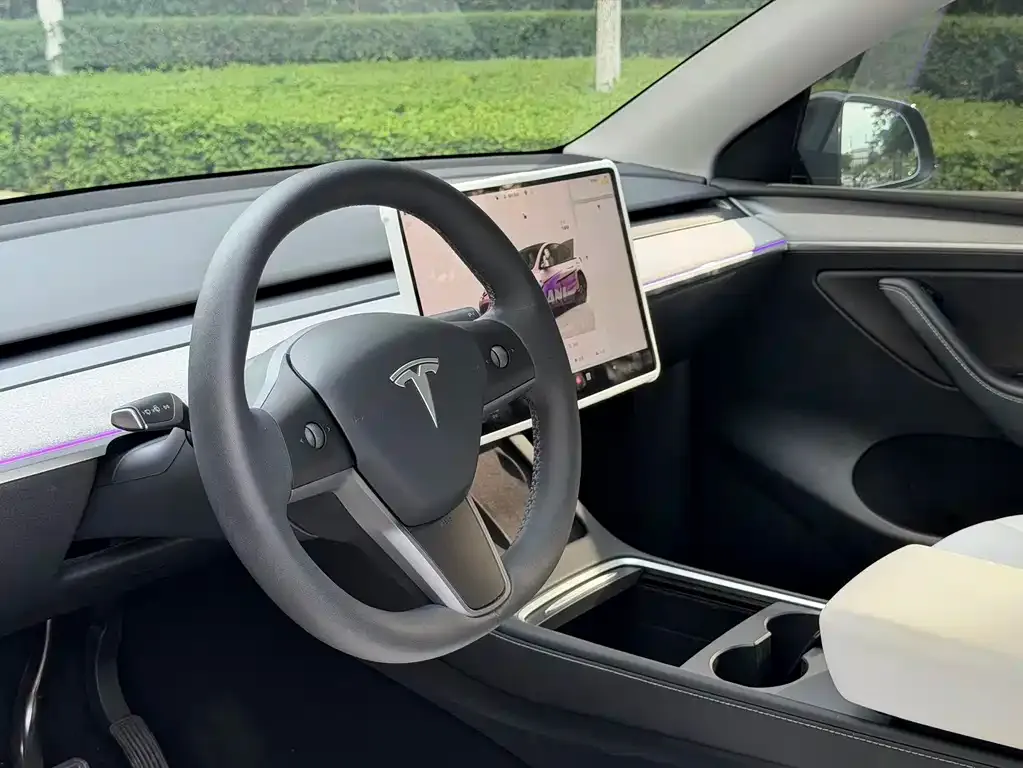 Tesla Model Y — фото 3