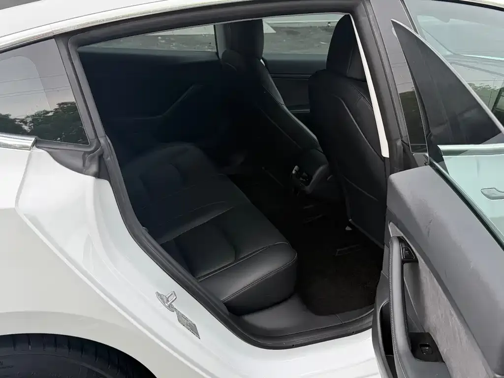 Tesla Model 3 2021 из CN, фото 4
