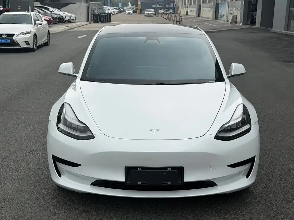 Tesla Model 3 2021 из CN, фото 7