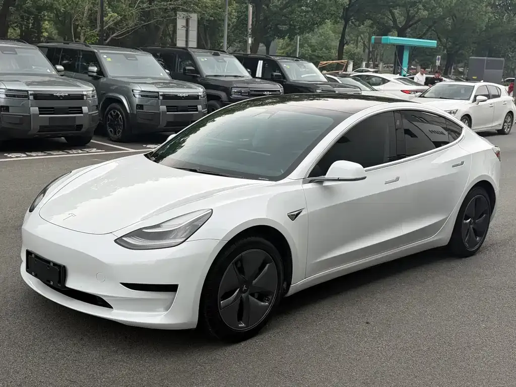 Tesla Model 3 2021 из CN, фото 8