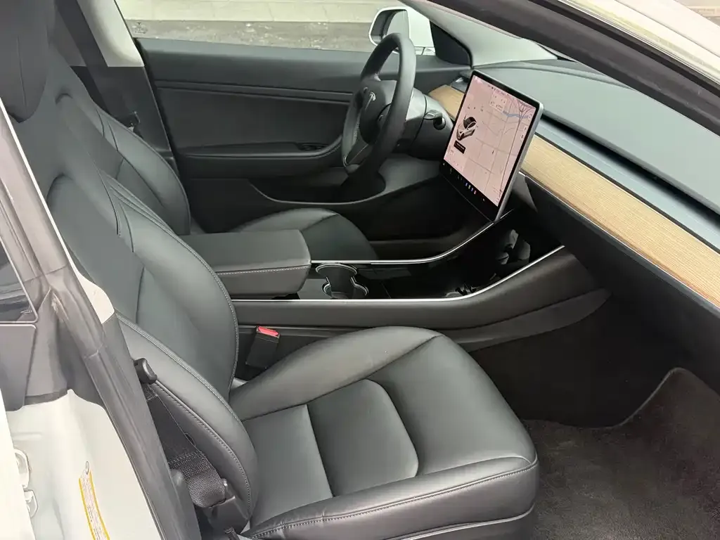 Tesla Model 3 2021 из CN, фото 2