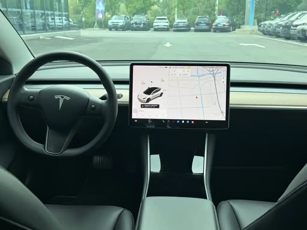 Tesla Model 3 2021 из CN, фото 6