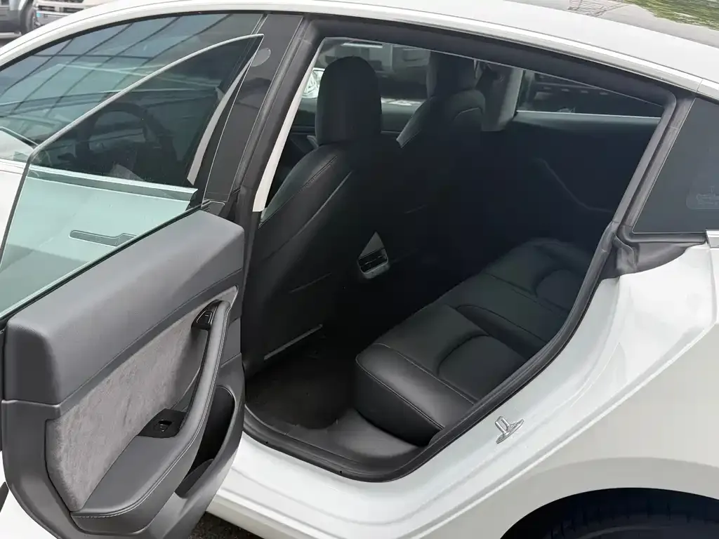 Tesla Model 3 2021 из CN, фото 3