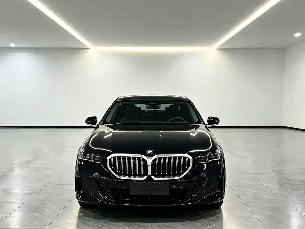 BMW 5 Series 2025 из CN, фото 9