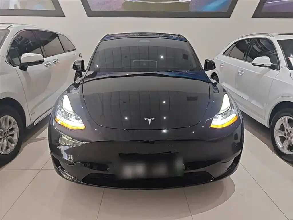 Tesla Model Y — фото 2