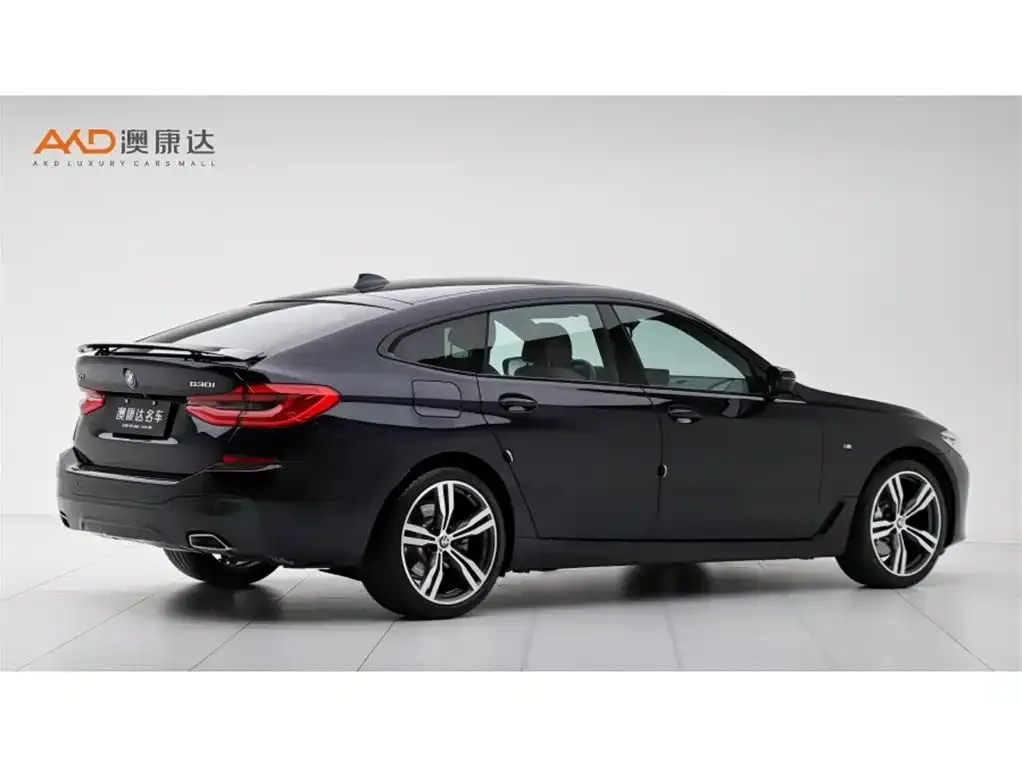 BMW 6 Series GT 2024 из CN, фото 10