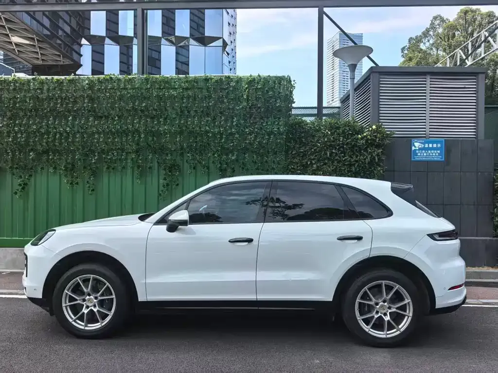 Porsche Cayenne — фото 6