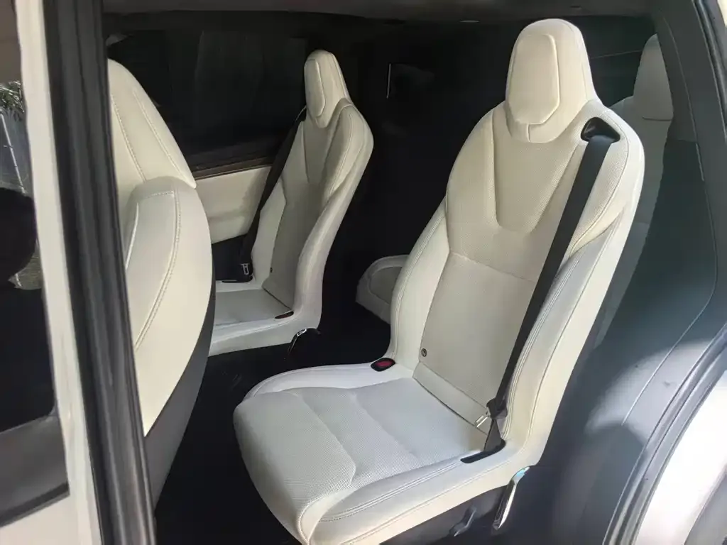 Tesla Model X 2023 из CN, фото 4