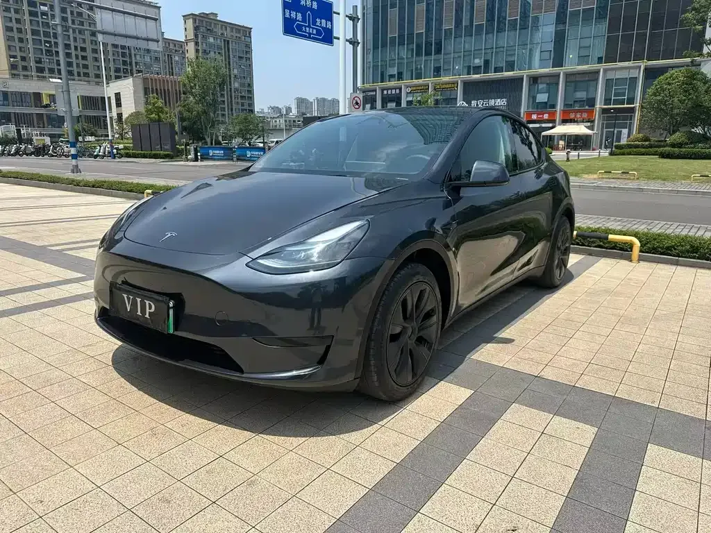 Tesla Model Y — фото 9