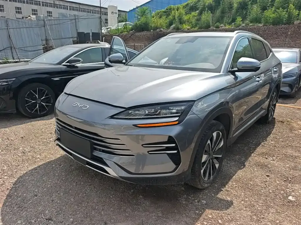BYD PLUS New Energy — фото 1