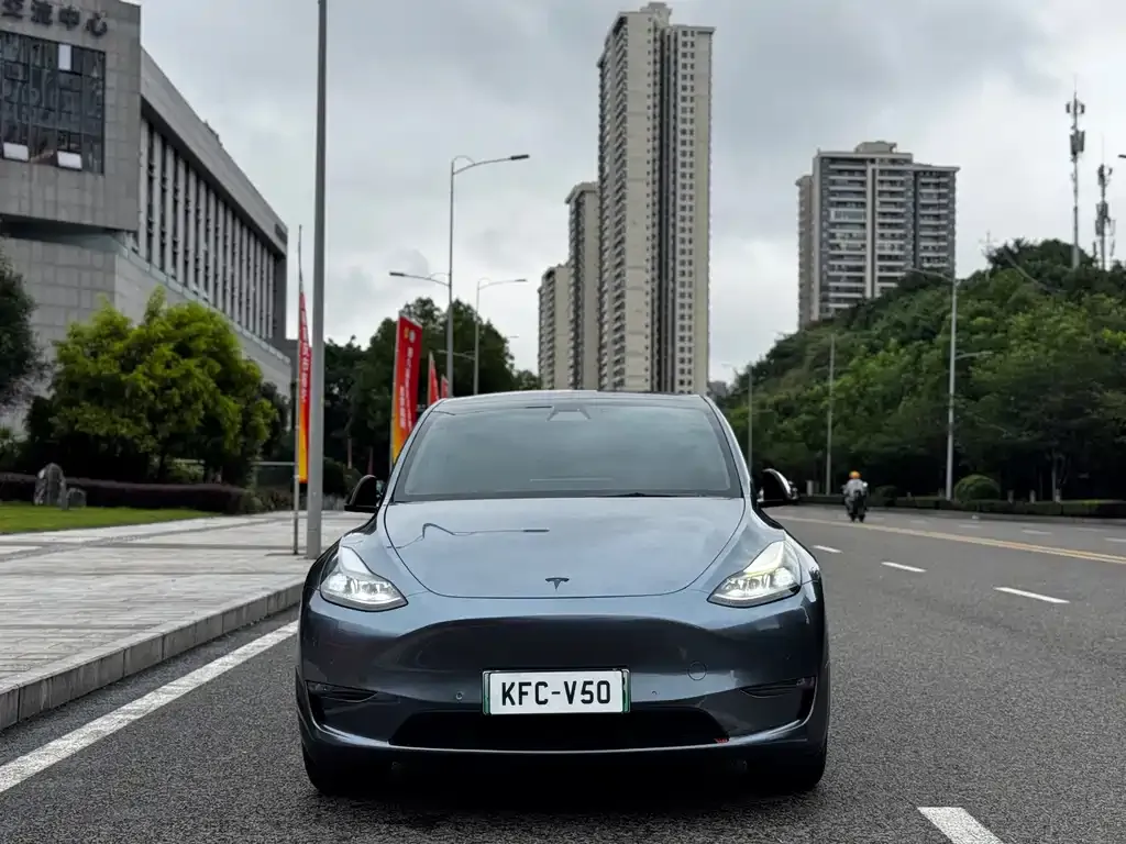 Tesla Model Y — фото 3