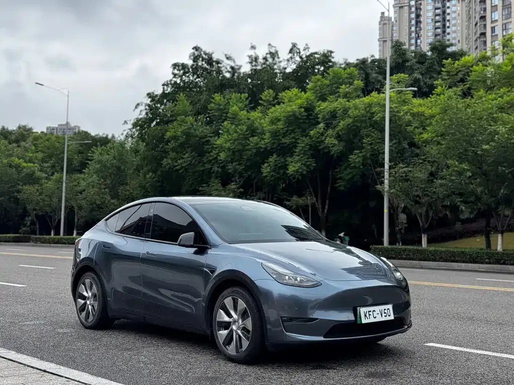 Tesla Model Y — фото 5