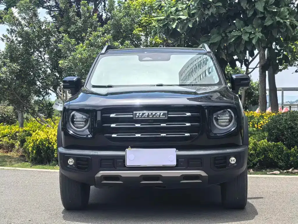 Haval Big Dog — фото 4