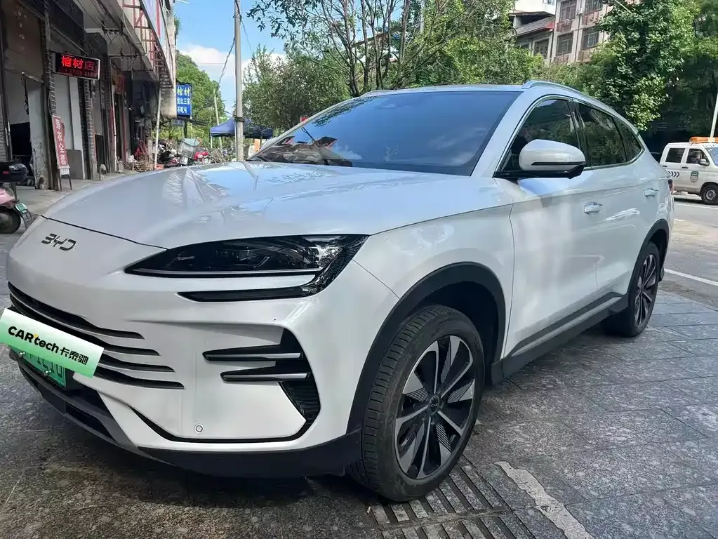BYD PLUS New Energy — фото 1