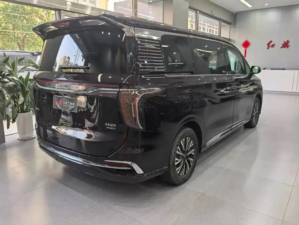 Hongqi HQ9 PHEV — фото 4
