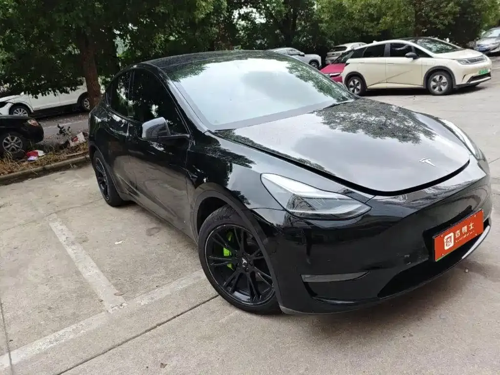Tesla Model Y — фото 6