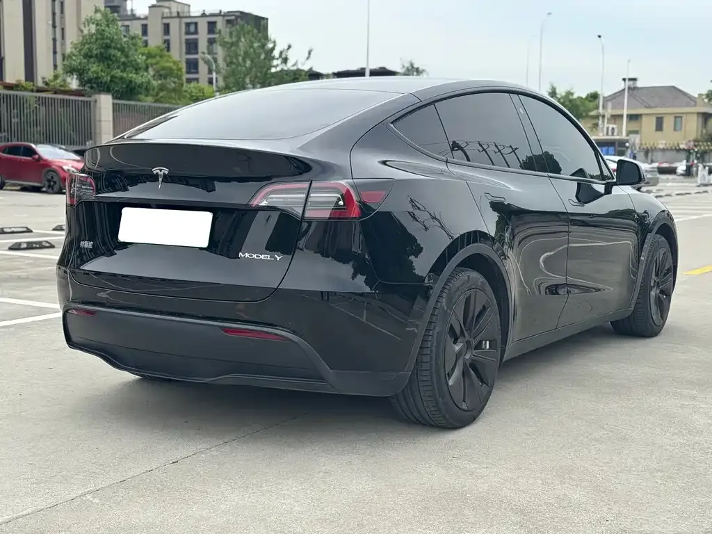 Tesla Model Y — фото 9
