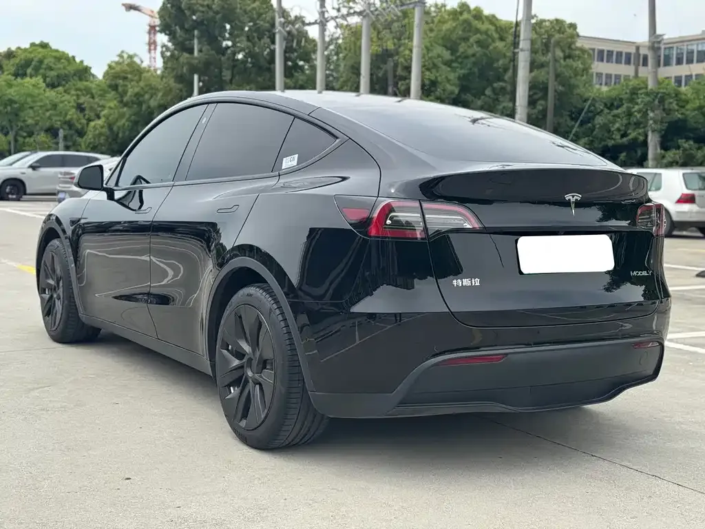 Tesla Model Y — фото 2