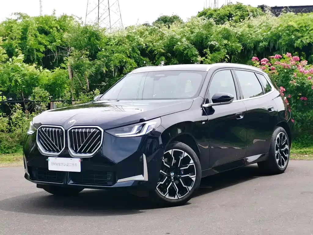 BMW X3 2025 из CN, фото 8