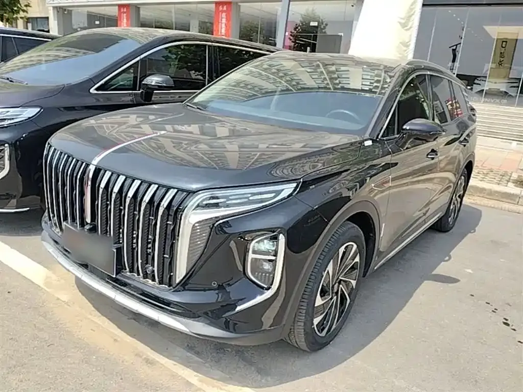 Hongqi HS7 PHEV 2024 из CN, фото 8