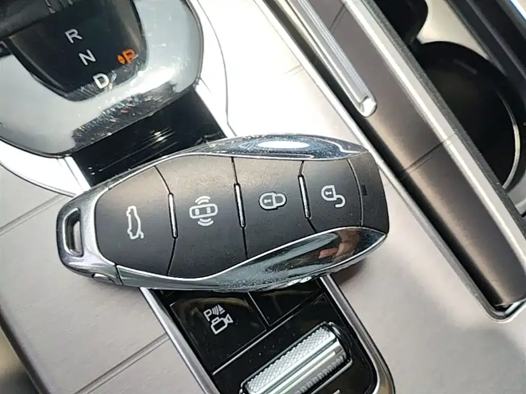 Hongqi HS7 PHEV 2024 из CN, фото 10