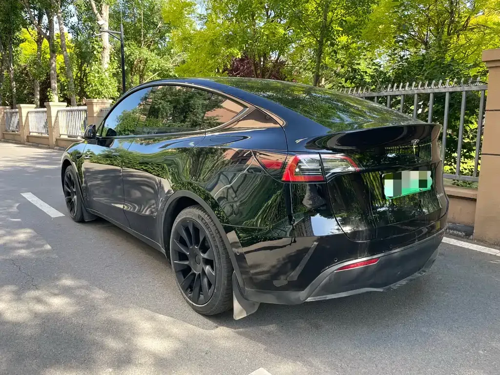 Tesla Model Y — фото 2