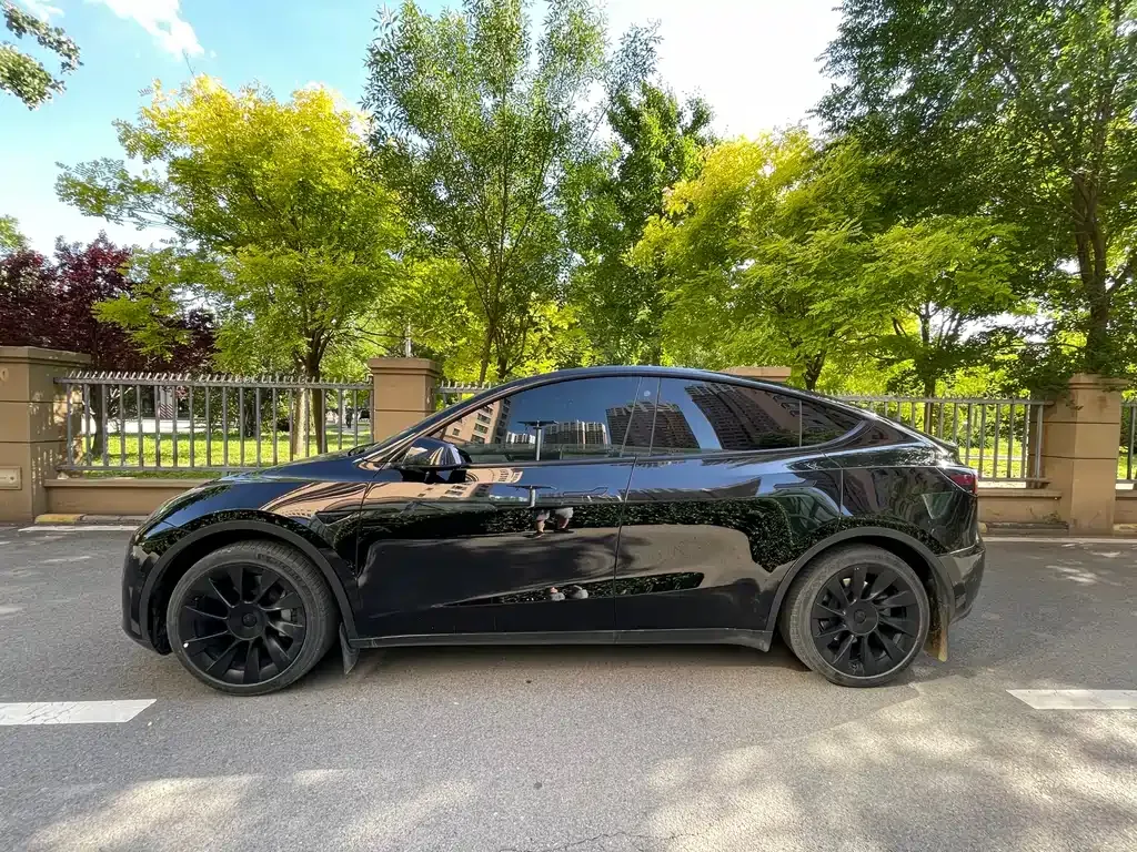 Tesla Model Y — фото 3