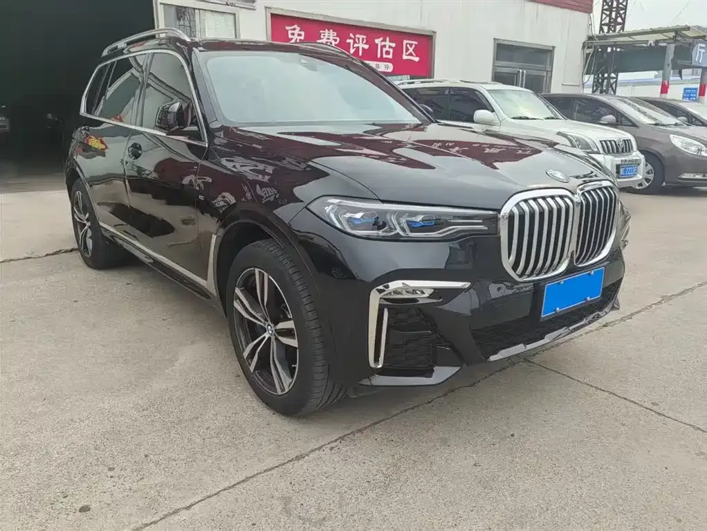 BMW X7 — фото 4