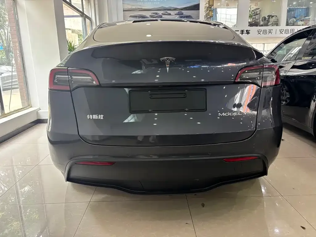 Tesla Model Y — фото 2