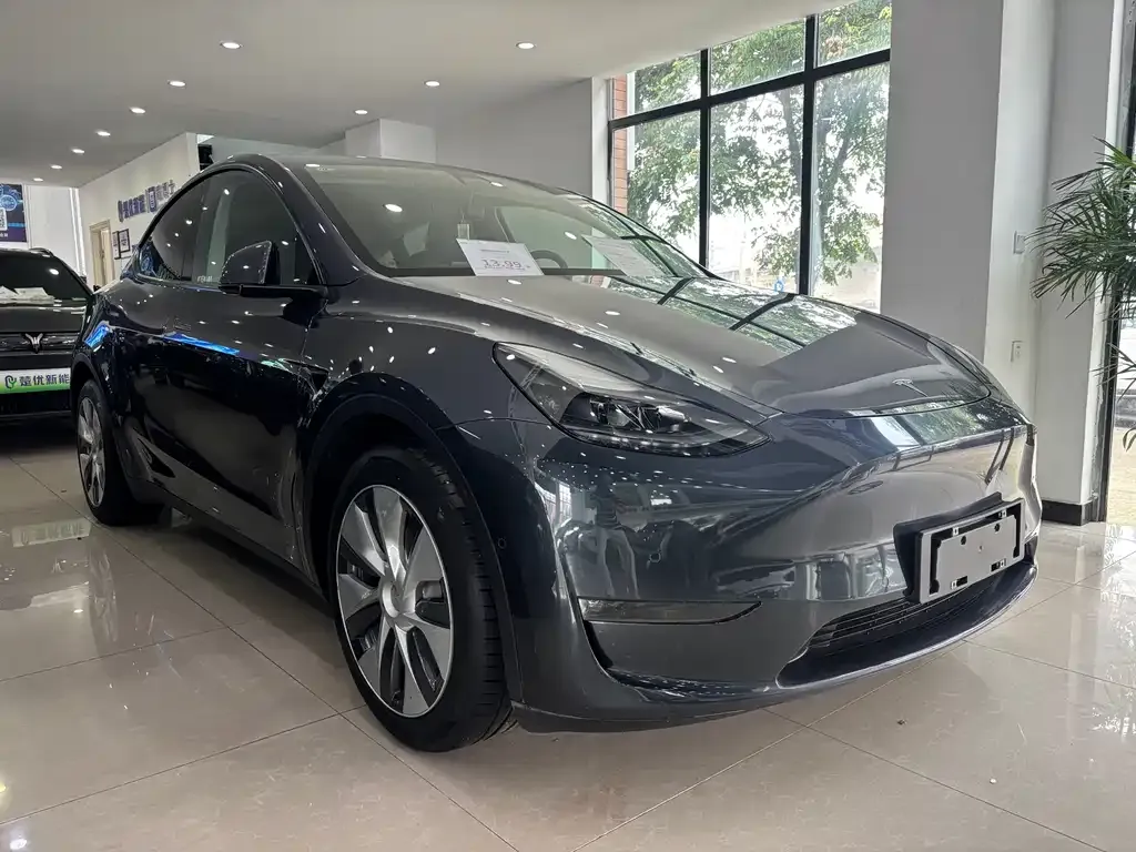 Tesla Model Y — фото 10