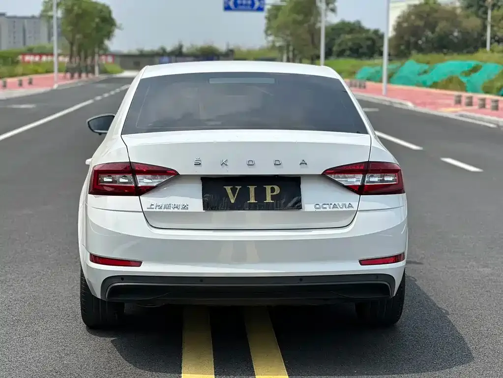 Skoda Octavia 2022 из CN, фото 2