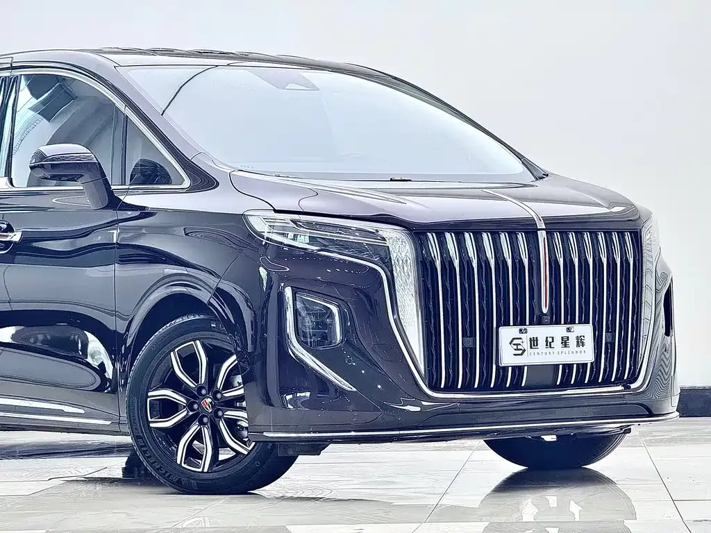Hongqi HQ9 — фото 7