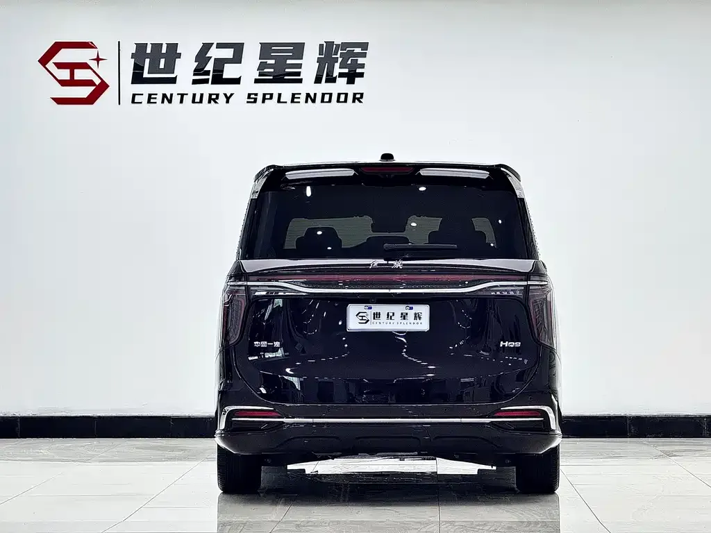 Hongqi HQ9 — фото 10