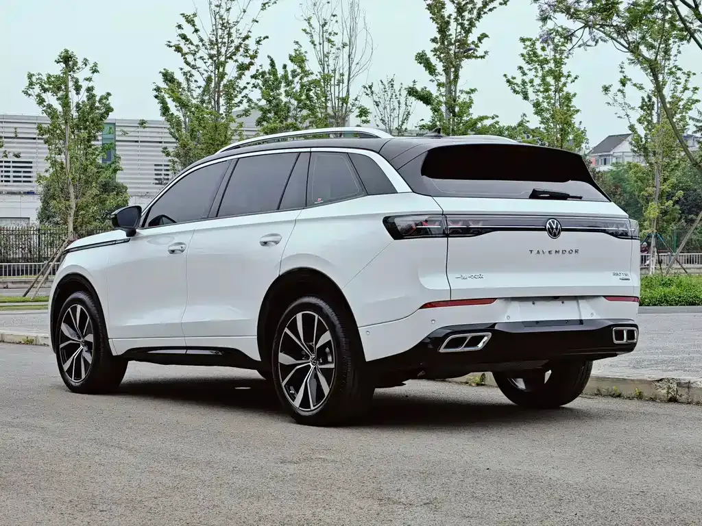 Volkswagen Tavendor 2023 из CN, фото 4