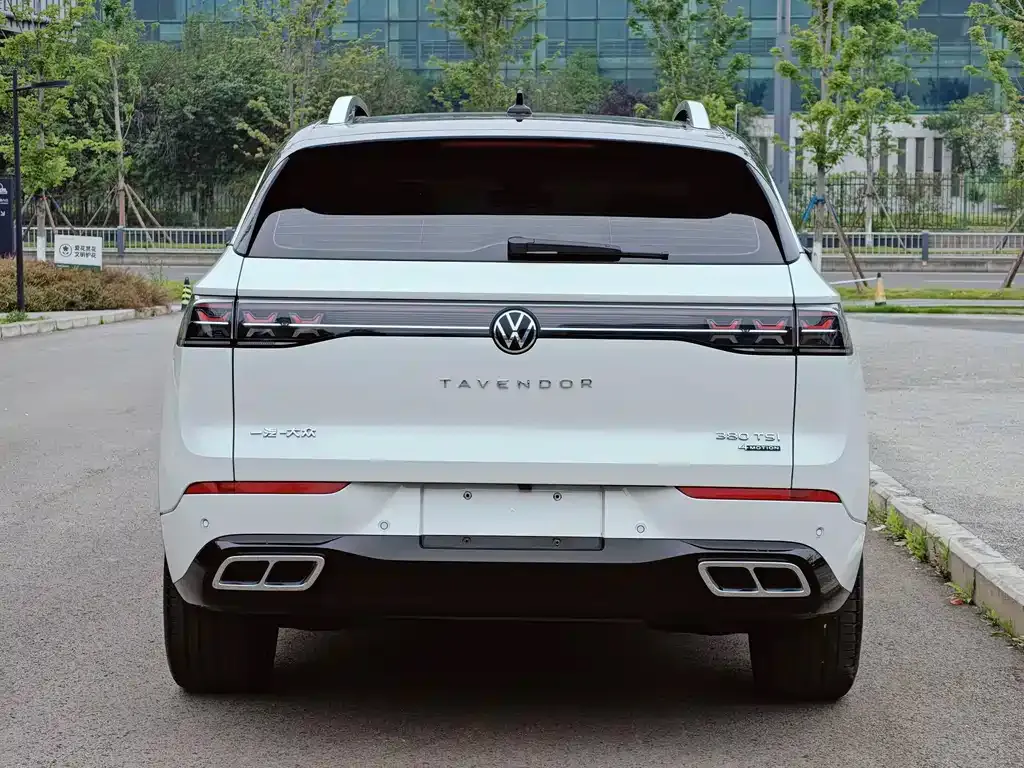 Volkswagen Tavendor 2023 из CN, фото 6