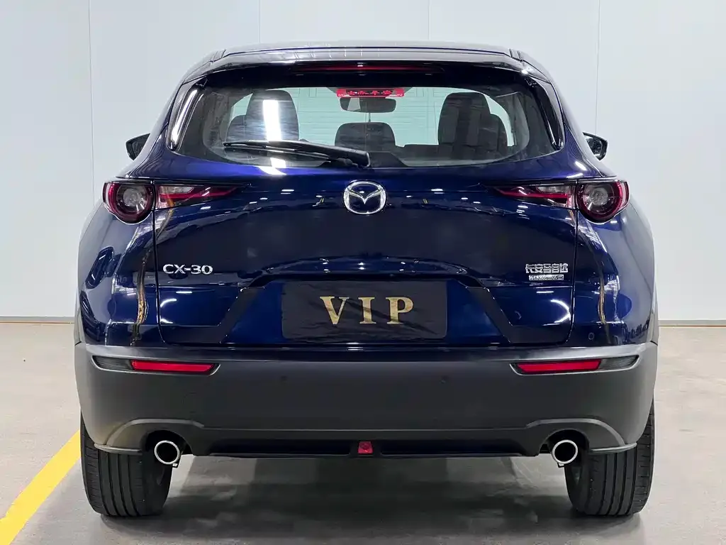 Mazda CX-30 2021 из CN, фото 4