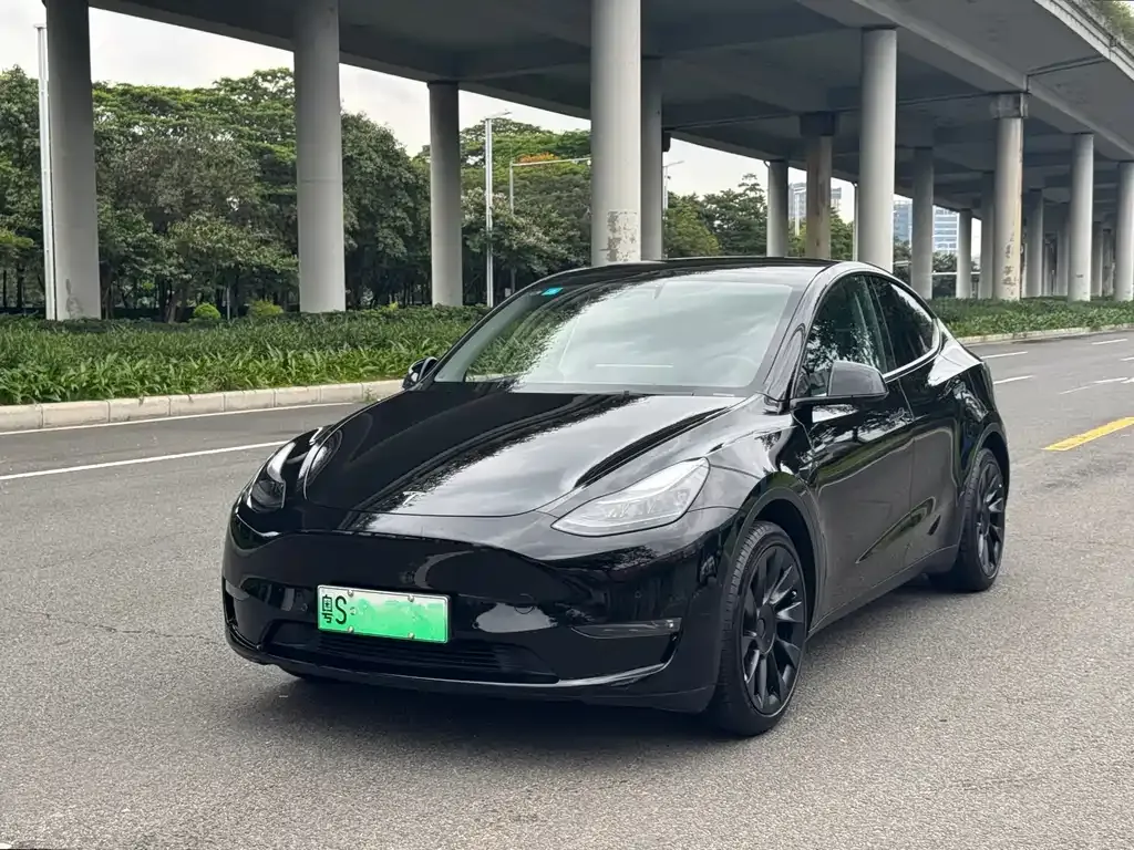 Tesla Model Y — фото 1