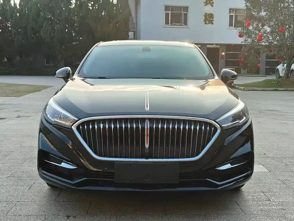 Hongqi H5 2023 из CN, фото 3