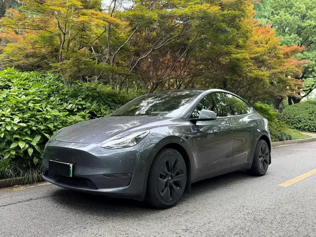Tesla Model Y — фото 1