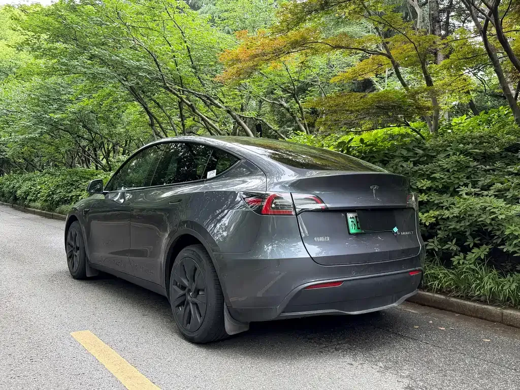 Tesla Model Y — фото 10