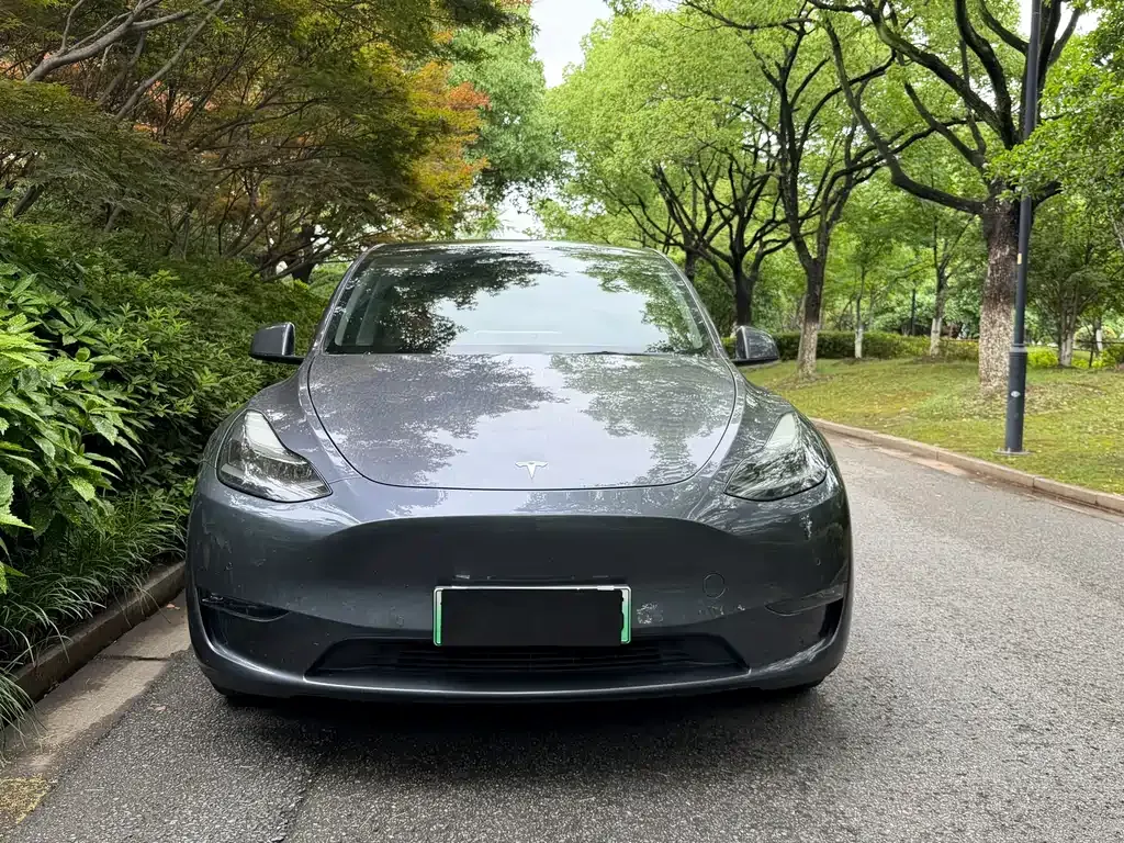 Tesla Model Y — фото 8